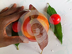 MANGO, VEGETABLES AND DELIGHTS