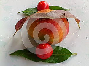 MANGO,VEGETABLES AND DELIGHTS