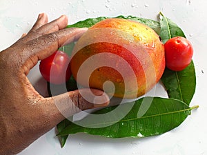 MANGO, VEGETABLES AND DELIGHTS