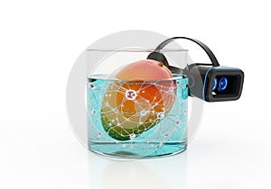 Mango in VR: Virtual Reality Fruit Experience