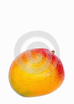 Mango on white background