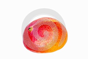 Mango on white background