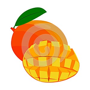 Mango whole and half. vector isolated on a white background