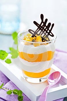 Mango-yogurt dessert