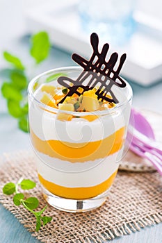 Mango-yogurt dessert