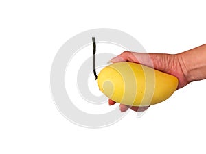 Mango For You, Hand with Mango with Copy Space on White Background