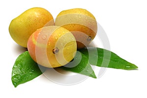 Mangoes