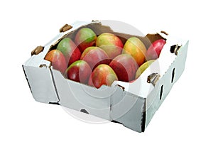 Mangoes photo