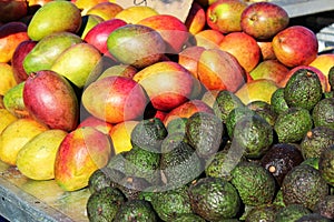 Mangoes and avocados at a market stall