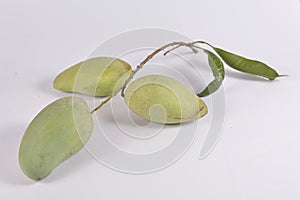 Mangoes isolated object