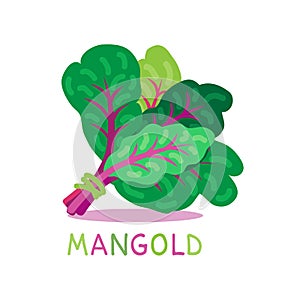 Mangold-07
