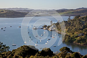 Mangonui