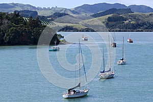 Mangonui harbor in Northland New Zealand