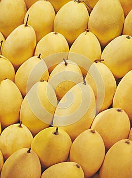 Mangos fresh fruit summer season photo