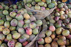 Mangos at the market photo