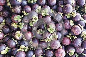 mangostan fresh fruit texture