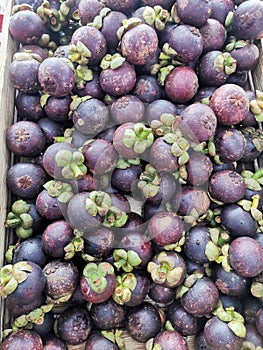 mangostan fresh fruit texture