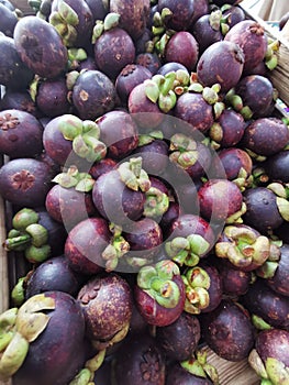 mangostan fresh fruit texture