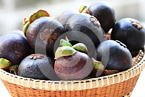 Mangosteen