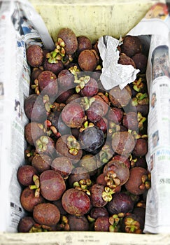 Mangosteen