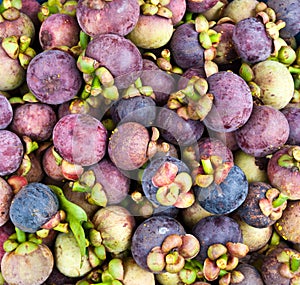 Mangosteen