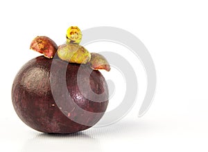 Mangosteen