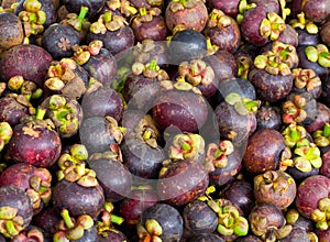Mangosteen