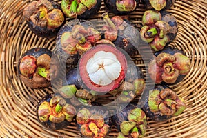 Mangosteen