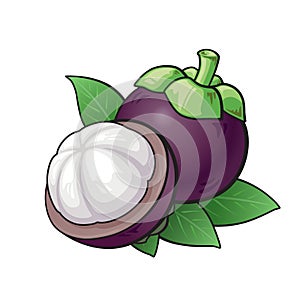 Mangosteen cartoon, Mangosteen peeled isolate on white background