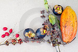 Mangosteen, coffee beans and cacao fruits on the table