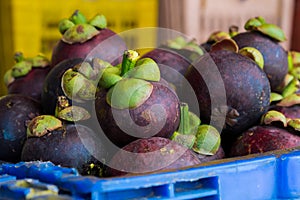 Mangosteen in fresh fruit market