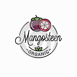 Mangosteen fruit logo. Linear of mangosteen slice