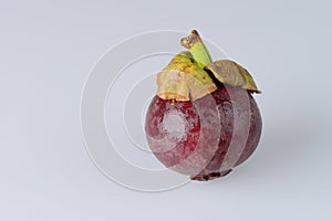 Mangosteen fruit one only
