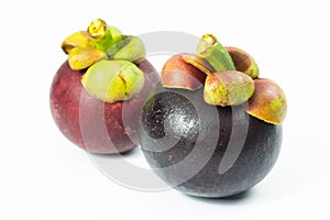 Mangosteen