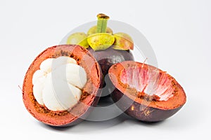 Mangosteen
