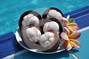 Mangosteen (Garcinia mangostana) photo