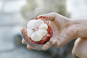 Mangosteen in hand