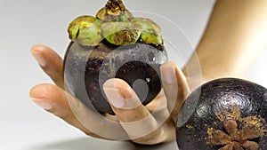 Mangosteen on hand/ Mangosteen isolated on white