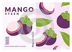 Mangosteen Label packaging design templates, Hand drawn style vector illustration.
