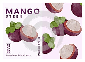 Mangosteen packaging design templates, watercolour style vector illustration.