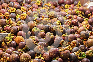 Mangosteen placer a lot of fruit lies on the counter market of Asia tropical Thailand, Vietnam