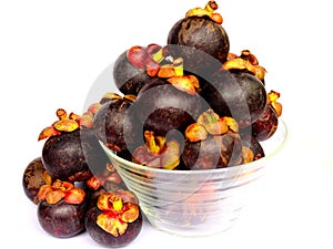 Mangosteen Queen Fruits Delicious