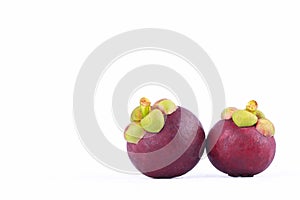 mangosteen queen of fruits Garcinia mangostana Linn on white background healthy purple mangosteen fruit food isolated