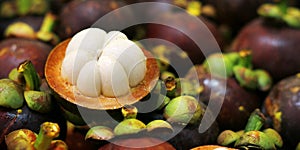 MANGOSTEEN