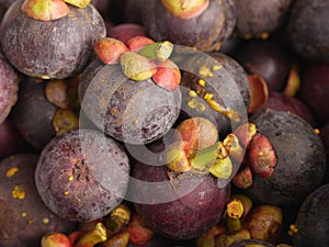 Mangosteen From Thailand fruit Ready to eat From the tree In the garden Bright red Combination