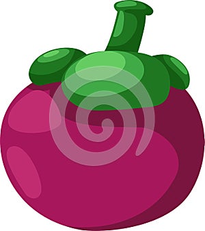 Mangosteen vector