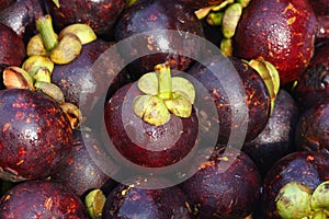 Mangosteens