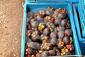 Mangosteens in baskets on ground at fruit market.