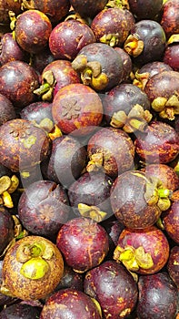 Mangosten fruit of tropical