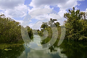 Mangroove river in everglades Florida